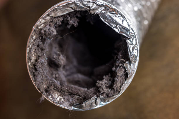 Best Home Air Vent Cleaning  in Akron, CO